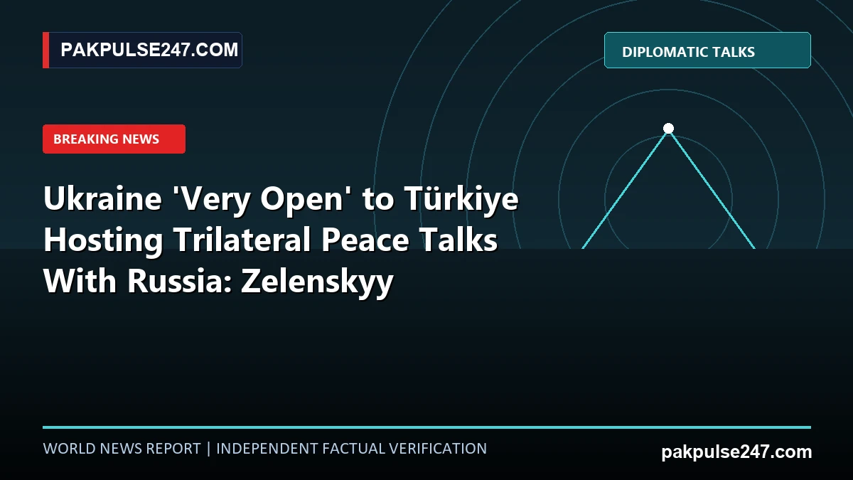 Editorial diplomatic graphic showing trilateral peace summit vector with PAKPULSE247.COM world news branding.