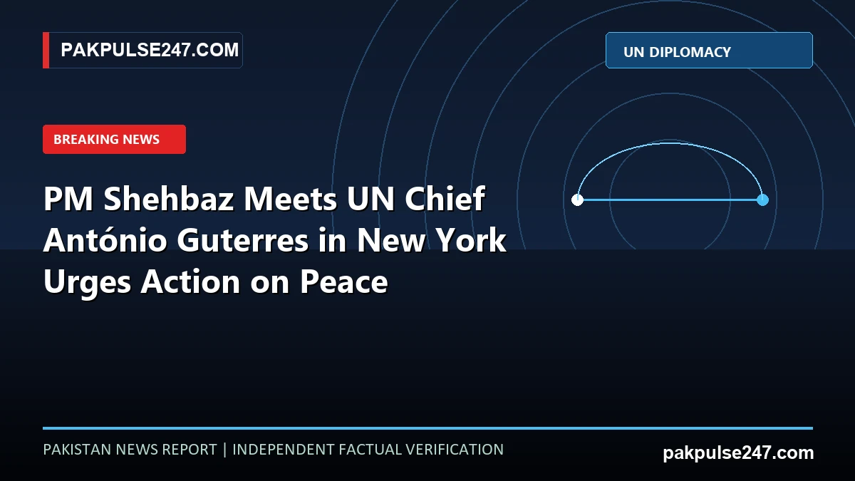 Editorial news graphic showing United Nations diplomacy vectors with PAKPULSE247.COM world news branding.